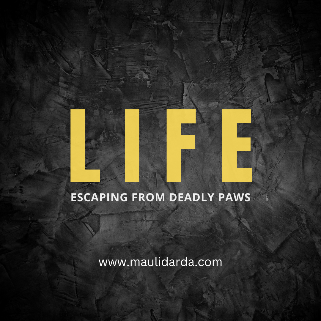 Life – Escaping from Deadly Paws